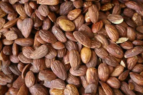 تصویر 1 از معرفی بادام درختی کهنه + بهترین قیمت خرید